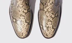 Manner Scarosso Warren Python