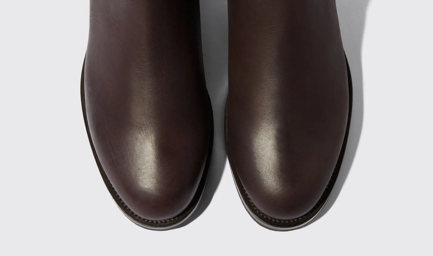 Manner Scarosso William Iii Brown